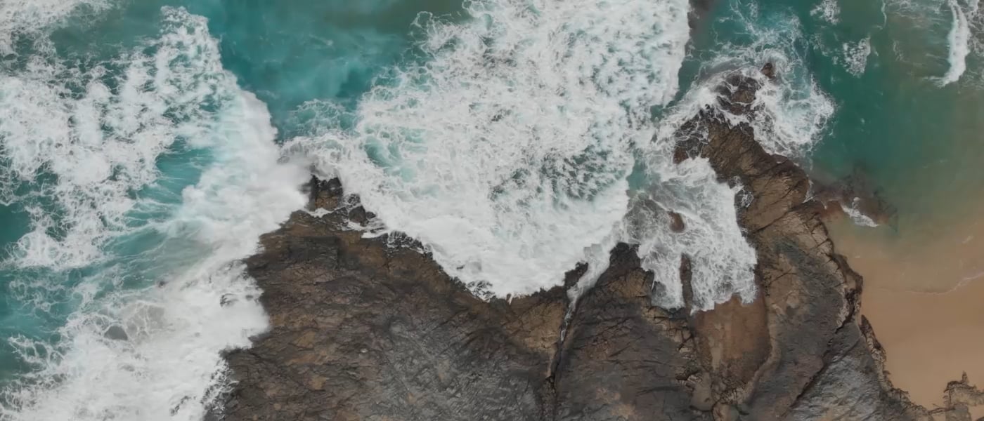Banner Anthos